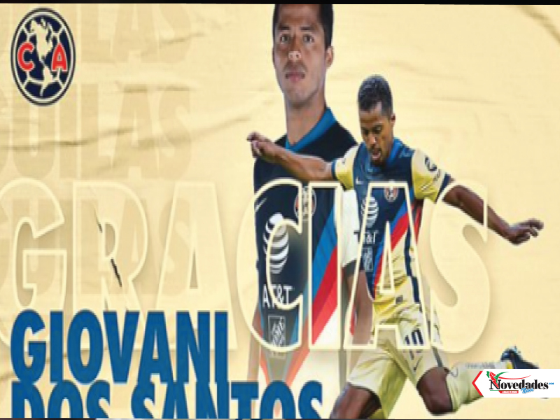 NOVEDADES NEWS 11