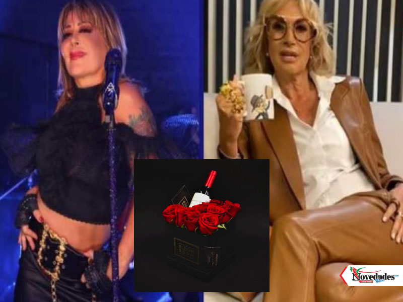NOVEDADES NEWS 17