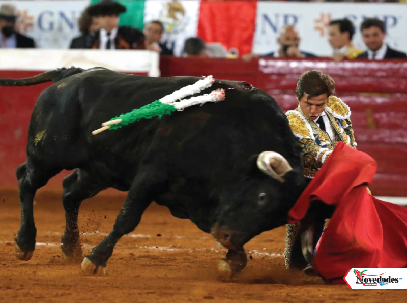 NOVEDADES NEWS 19