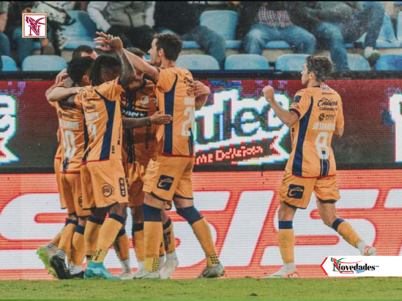 NOVEDADES NEWS 19