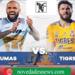 NOVEDADES NEWS 24