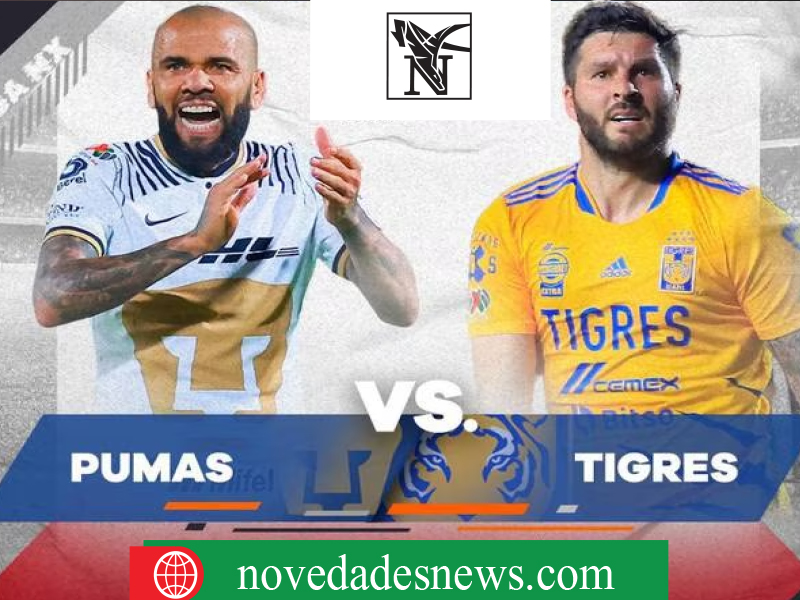 NOVEDADES NEWS 24