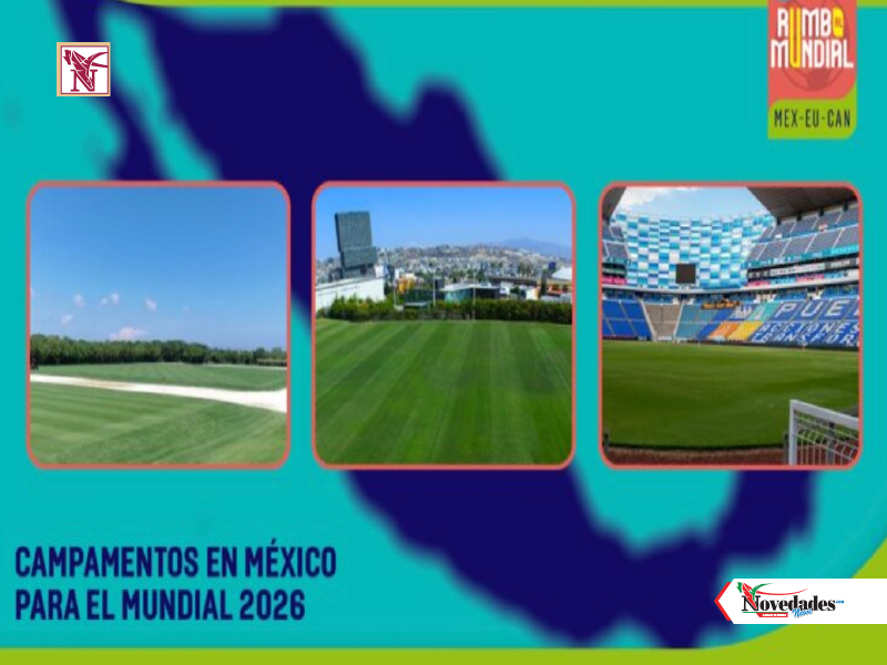 NOVEDADES NEWS 25