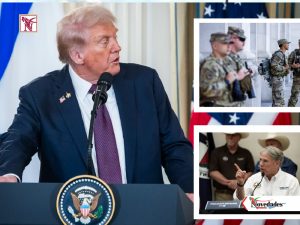 NOVEDADES NEWS copy 1