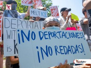 NOVEDADES NEWS 16 Julio 2