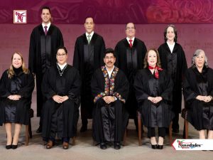 NOVEDADES NEWS 2