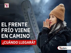 NOVEDADES NEWS copy 3