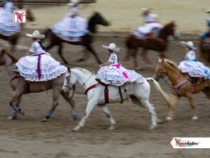 NOVEDADES NEWS 34