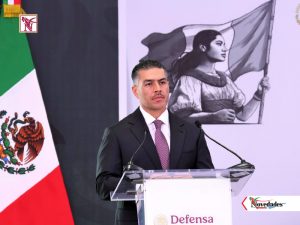NOVEDADES NEWS 6