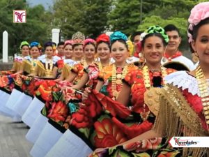 NOVEDADES NEWS 8