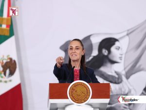 NOVEDADES NEWS 5